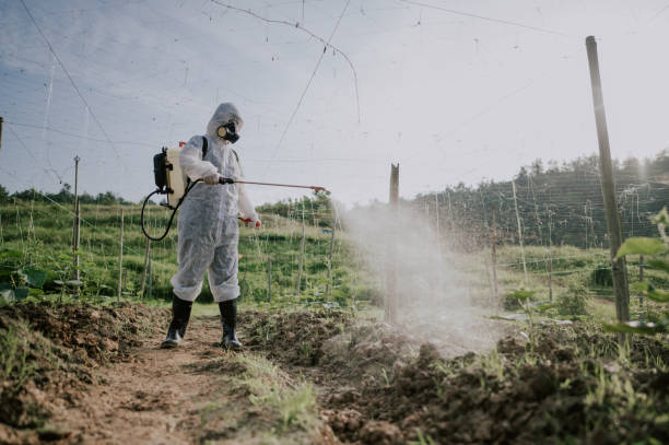 Best Pest Prevention Services  in Bradley, IL