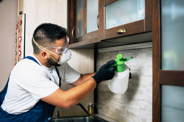 Best Wildlife Control Services  in Bradley, IL