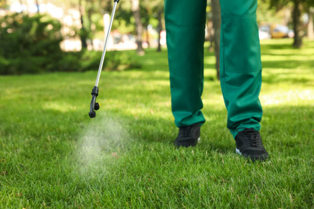 Best Wasp Removal Services  in Bradley, IL
