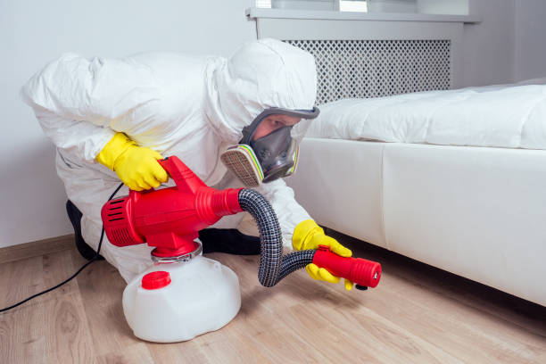 Best Pest Control Near Me  in Bradley, IL