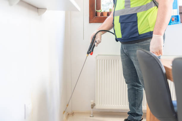 Best Pest Control Near Me  in Bradley, IL