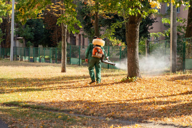 Best Affordable Pest Control Services  in Bradley, IL