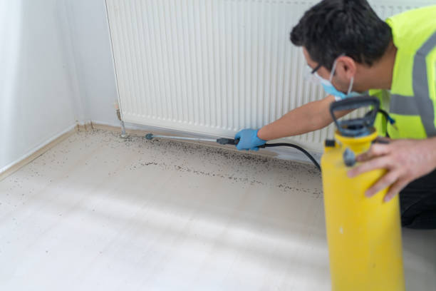 Best Affordable Pest Control Services  in Bradley, IL