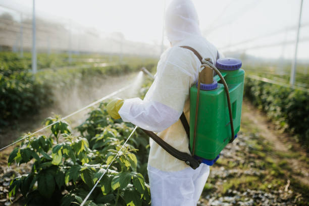 Best Ant Control Services  in Bradley, IL